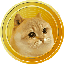 Catge coin